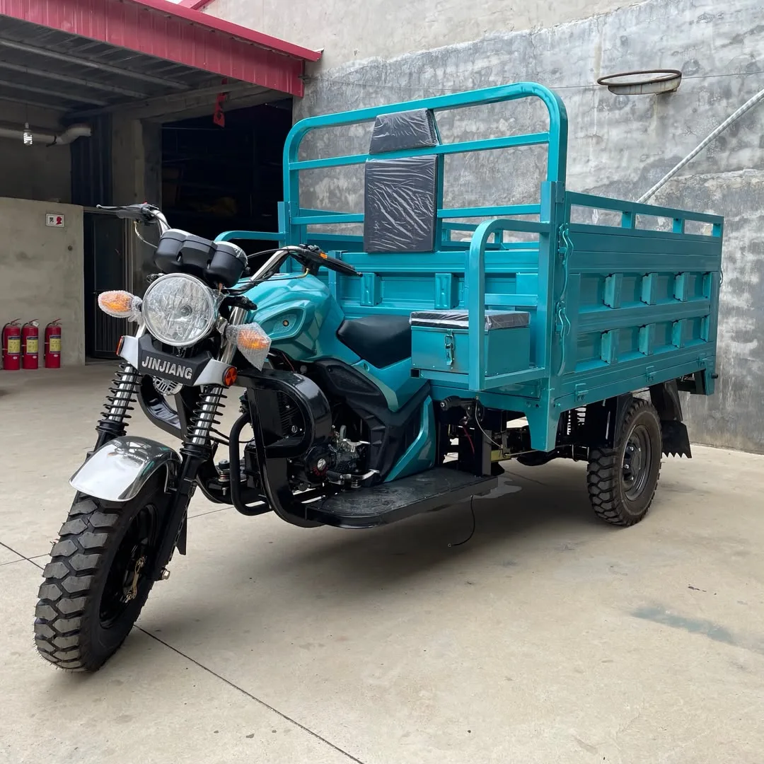 Nanfang NF-250ZH (Tricycle Cargo) - 1/3